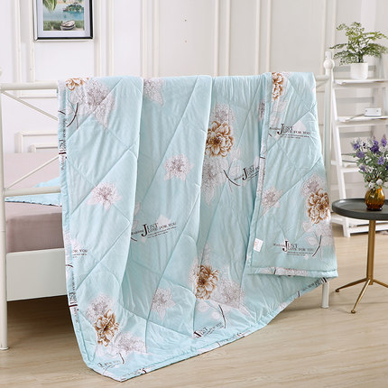 特价清仓夏凉被双人加厚空调被2x2.3米夏天被子薄可水洗夏被单人