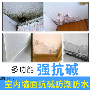 内墙防水防霉涂料白色卫生间地下室抗碱材料室内墙面防潮修补涂料