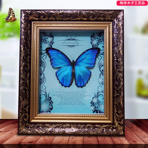 欢乐女神  span class=h>大 /span>蓝闪蝶 真蝴蝶 span class=h>昆虫 