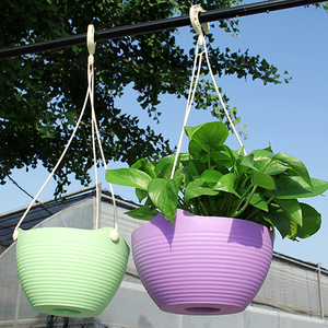 花盆塑料绿萝树脂室内图片