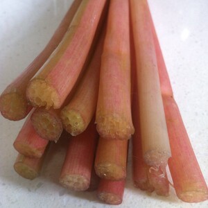 新鲜芡实梗图片