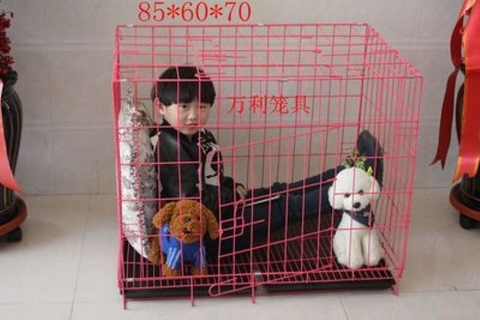 狗笼小宠加粗猫笼小型犬中型犬大型犬宠物笼子泰迪加粗笼子