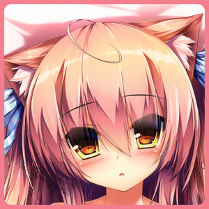 c88 syroh 福猫モフモフ抱枕 兽耳猫耳娘等身抱枕 二次元等身抱枕