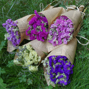 真干花勿忘我水晶草情人草包装迷你小花束送人礼物摄影道具毕业礼