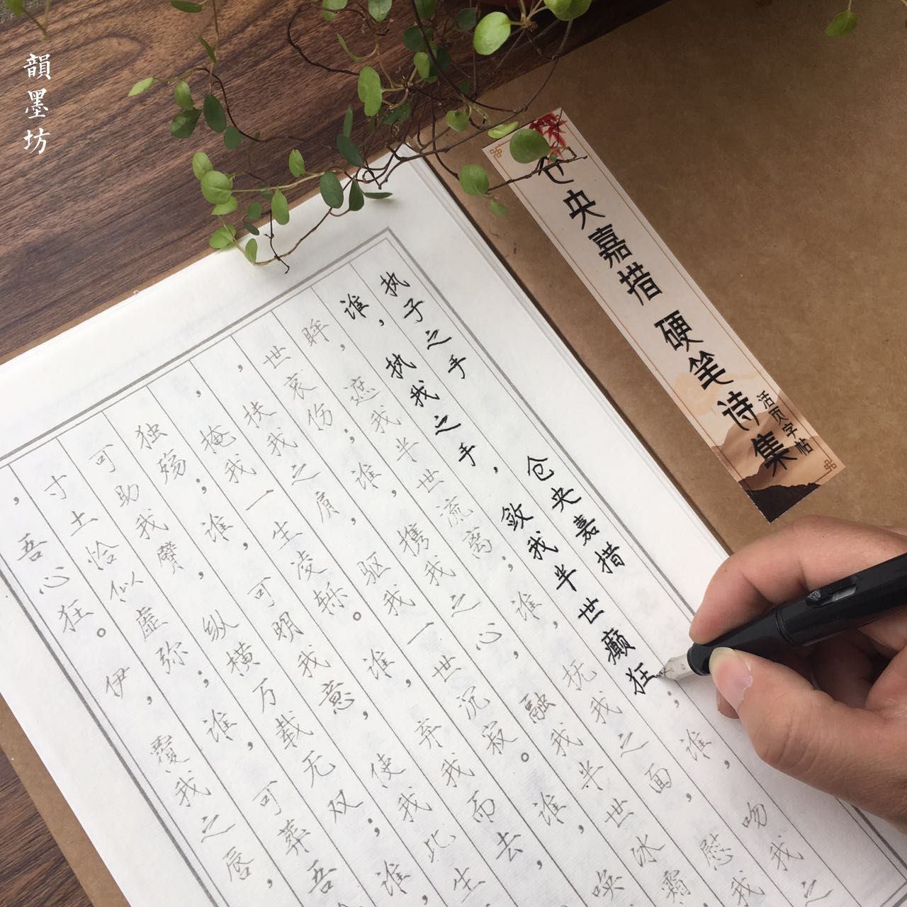 韵墨 仓央嘉措唯美情诗钢笔瘦金体描红字帖 硬笔字帖 成人练字帖