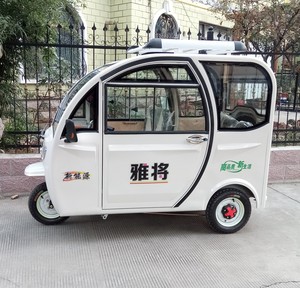 雅將全封閉式電動 span class=h>三輪車 /span>接送學生家用成人代步