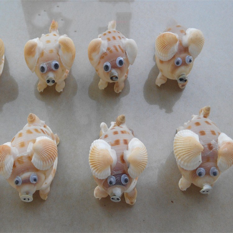 海螺贝壳工艺品摆件 贝壳小花猪 创意礼物 地摊旅游区纪念品