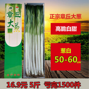 【山东章丘大葱甜葱价格】最新山东章丘大葱甜