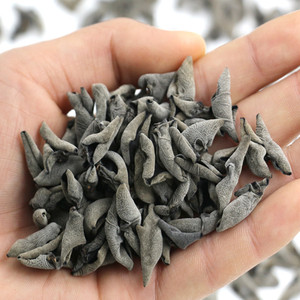 武夷山野生云耳 优质黑 span class=h>木耳 /span>小碗耳老鼠耳 非