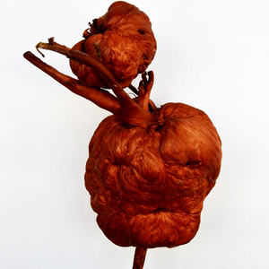 松瓜 松树根瘤 美丽 span class=h>树瘤 /span> 原木摆件 千年松 span