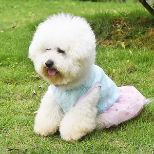 宠物衣服夏装狗狗衣服贵宾泰迪小狗衣服春夏天薄款比熊幼犬公主裙