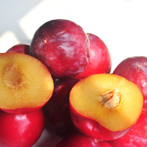 美国李子进口专场