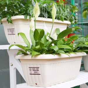 树脂种菜盆长方形塑料花盆特大号蔬菜种植箱室
