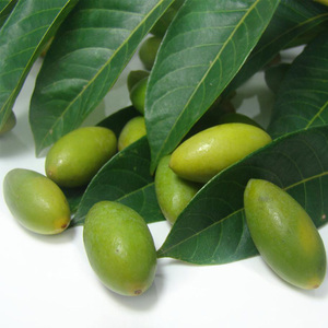 新鲜青橄榄包邮图片