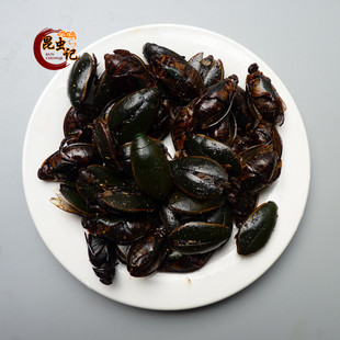 金边龙虱新鲜现拍现炸即食龙虱油炸昆虫美食野味