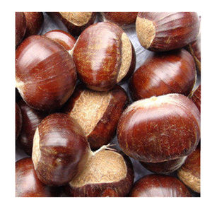 class=h>生 /span>紫玉 span class=h>板栗 /span>鲜 span class=h>栗