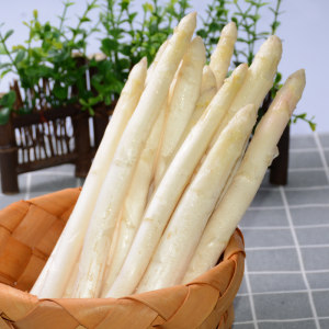 新鲜白 span class=h>芦笋 /span>3斤非绿 span class=h>芦笋 /span>