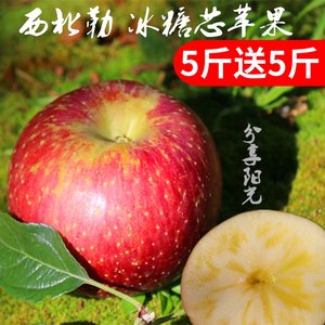 【苹果英寸4.75.5寸】_苹果英寸4.75.5寸品牌