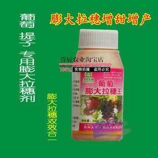 葡萄专用 葡萄膨大拉穗王 膨大剂 效果好于噻苯隆膨大素 增产30%