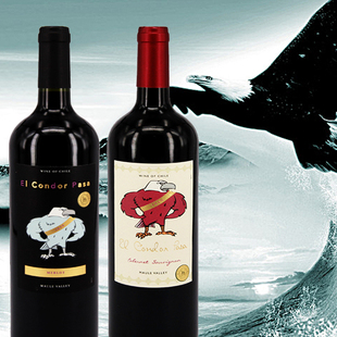 智利红酒2支 老鹰之歌梅乐赤霞珠干红葡萄酒原装进口