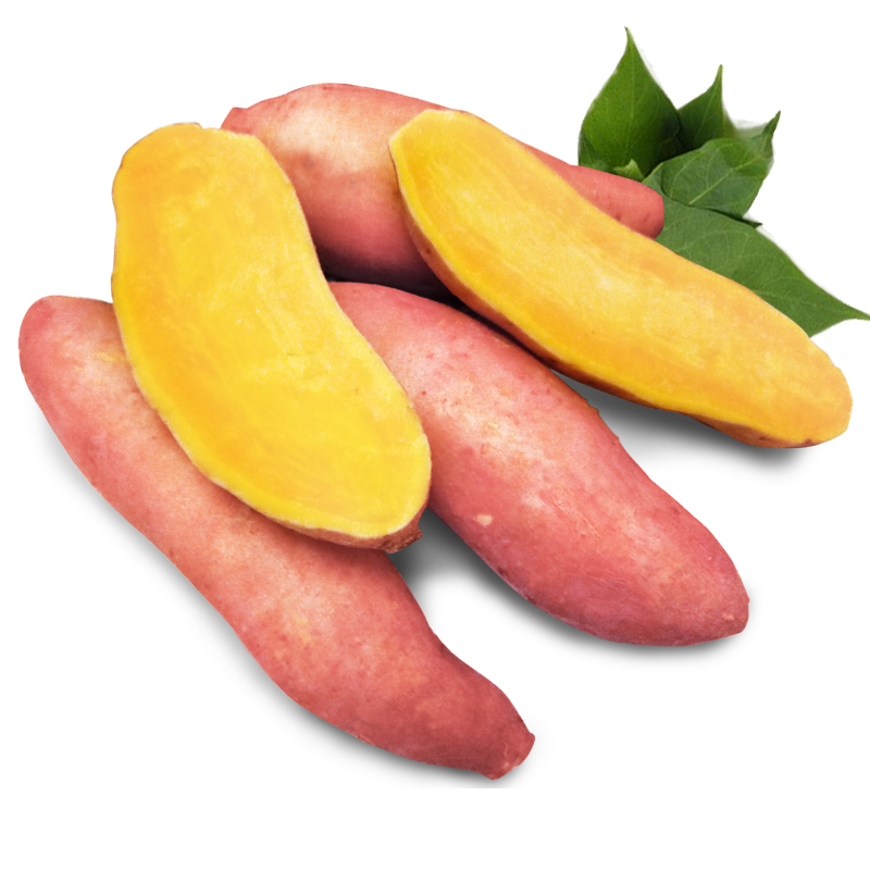 新鲜现挖黄心红薯5斤 香甜粉糯小香薯番薯山芋甜薯密薯地瓜包邮