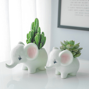 小动物花盆卡通图片