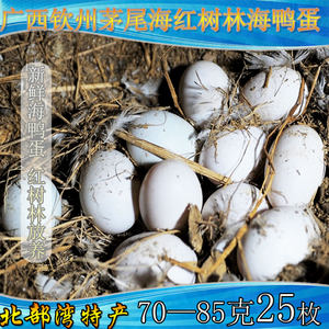 【海鸭蛋红树林新鲜价格】最新海鸭蛋红树林新