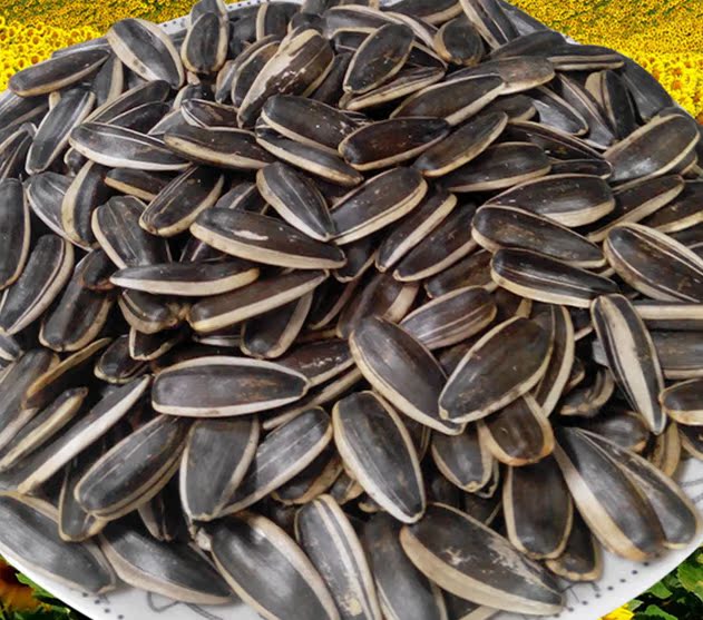 东北特产粗粮小吃零食 大瓜子 葵花籽熟瓜子散装炒货瓜子新货