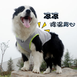 【夏季狗狗背心图片】夏季狗狗背心图片大全