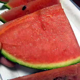 西瓜