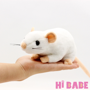 ëС  h / СФ