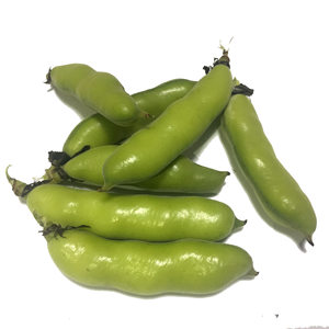 冬季现摘云南新鲜蚕豆 新鲜带壳蚕豆罗汉豆 span class=h>胡豆 /span>