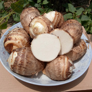 江西芋头 新鲜现挖毛芋头芋艿农家新鲜 span class=h