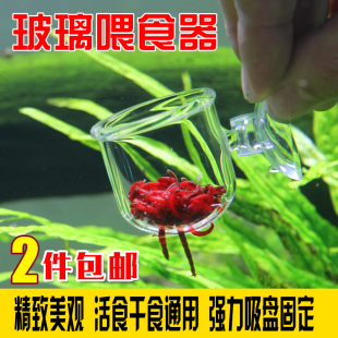 玻璃红虫杯鱼缸自动喂食器喂鱼器定时投食圈丰年虾鱼儿投喂圈