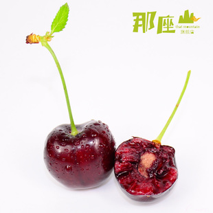 樱桃