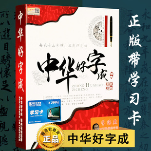 2017一手好字21特效凹槽练字板天行书楷书中华好字成练字套装