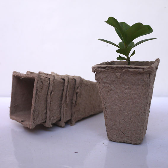 园艺苗纸浆育苗杯钵纸杯营养钵可降解纸树苗美植营养袋育苗容器