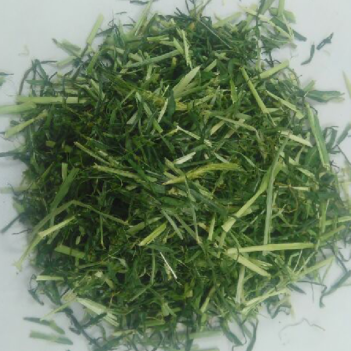 2包包邮大麦草叶段 250g 兔子龙猫荷兰猪龙猫喜爱粗纤维 调理肠胃