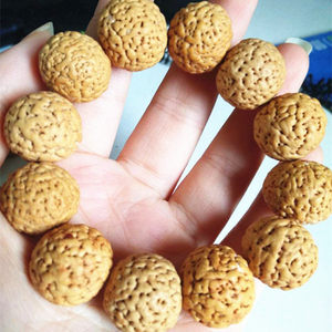 金黄皮金刚专场