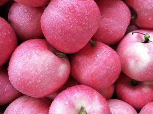 陕西洛川正宗红富士好想你新鲜甜美大红苹果 斤包邮水果新鲜水果