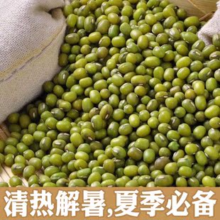 綠豆 綠小豆500g 農家自產笨綠豆毛綠豆五穀雜糧粗糧