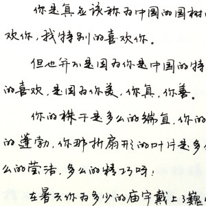 字帖 成人速成练字帖 手写体 连笔字 行楷行草 行书硬笔钢笔字帖