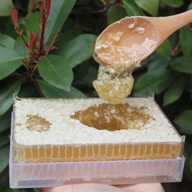 17蜂农自产天然野生蜂巢蜜 百花蜜蜂窝蜜格子酿土蜂蜜老巢蜜500g