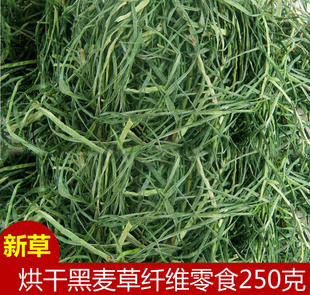 17年烘干黑麦草牧草干草250g 兔子 天竺鼠 龙猫 陆龟嫩2斤起包邮