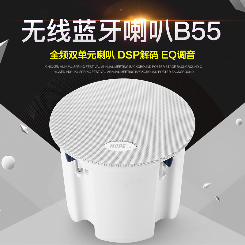 HOPE/向往 B55定阻同轴蓝牙喇叭天花吊顶吸顶音响喇叭