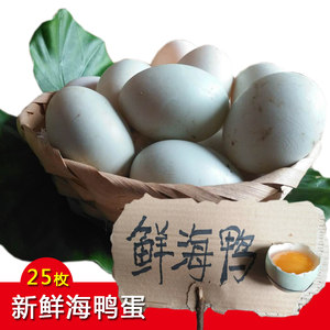 【海鸭蛋红树林新鲜价格】最新海鸭蛋红树林新