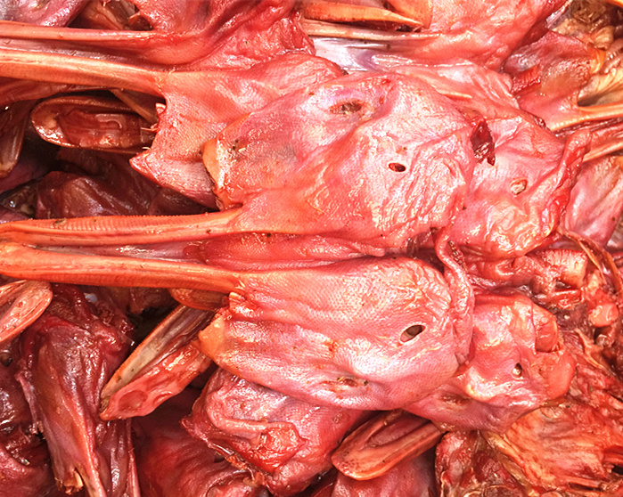 温州特产 修文鸭舌 修文生酱鸭头散称 生鸭头鸭下巴2500g 大红头