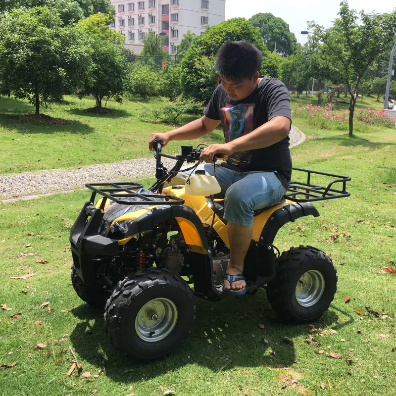 迷你摩托车 110CC沙滩摩托车 四冲 山地四轮越野车 小公牛沙滩车