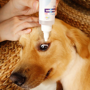 新宠之康亮洁宠物滴眼液狗狗眼药水消炎去泪痕除眼屎猫咪眼部清洁