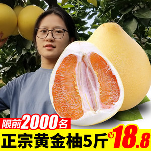 【黄金柚子价格】最新黄金柚子价格\/批发报价